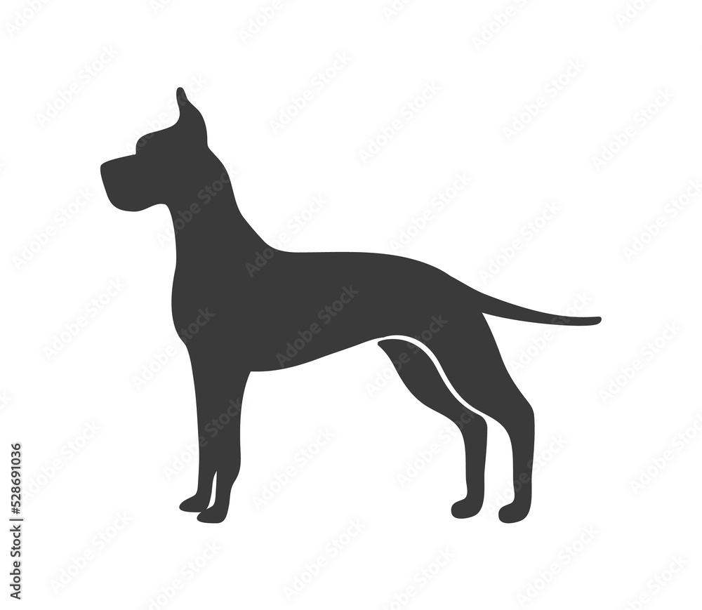 Great dane silhouette. Swiss dog pinscher group, vector icon