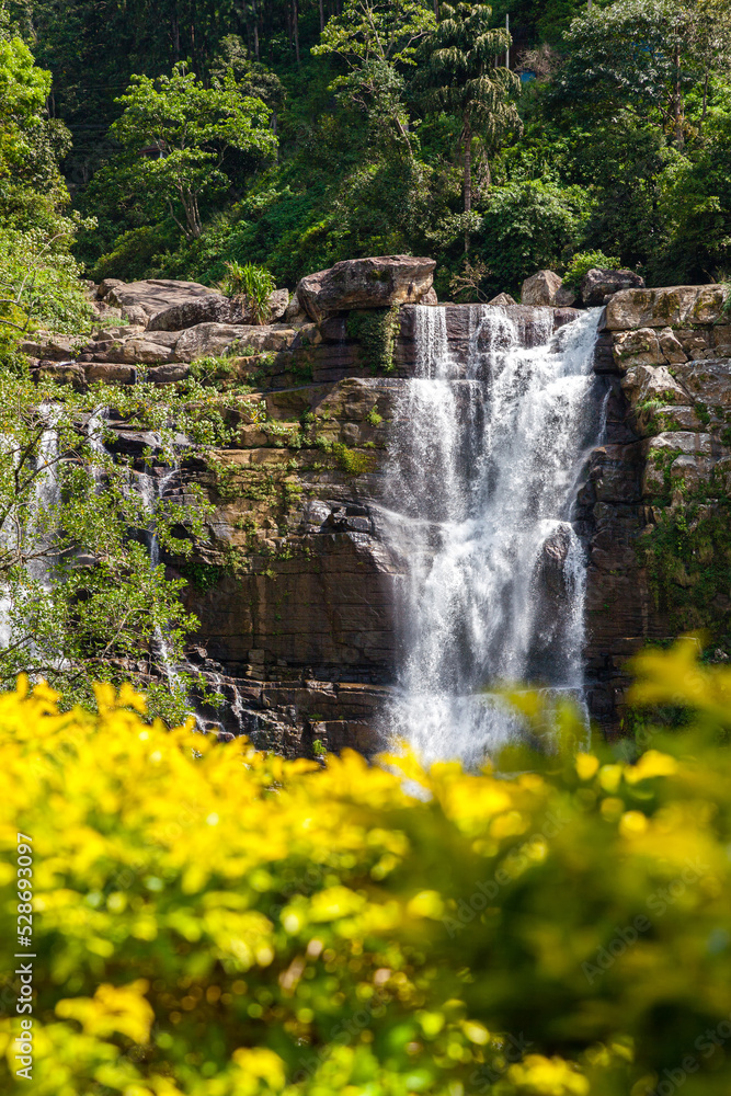 Grandiose unusually beautiful waterfall in the green jungle of the island of Sri Lanka. Yellow flowers in the foreground