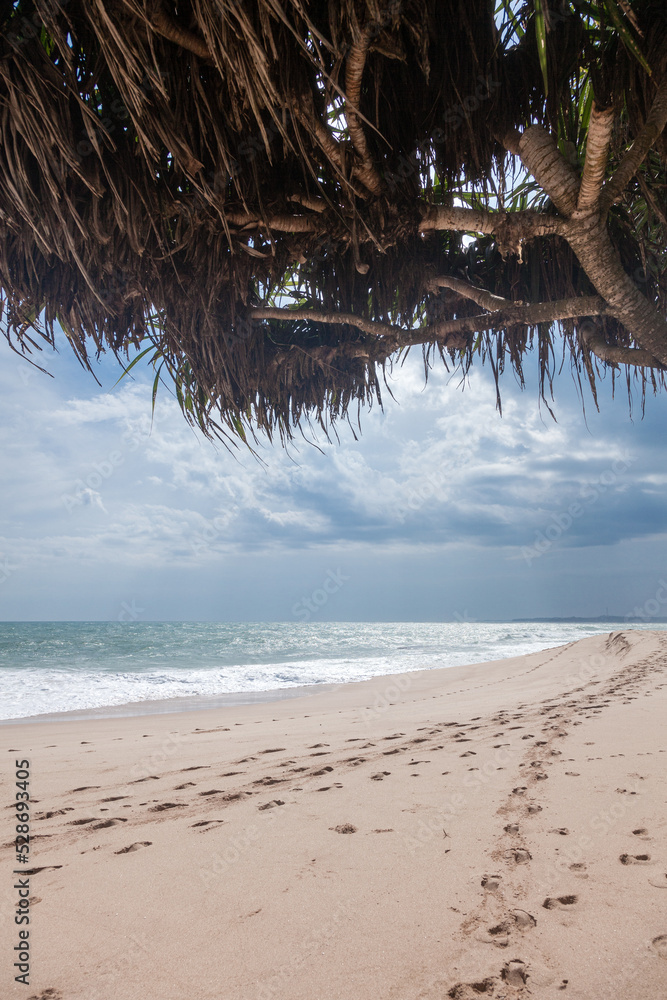 Endless footprints on the sandy shore of the Indian Ocean. Tangalle
