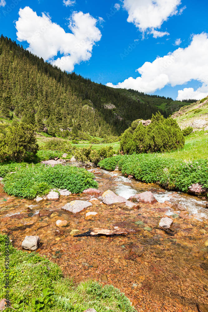 Beautiful mountain river on the Assy plateau in the national park of Kazakhstan under a blue sky with clouds