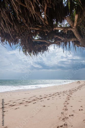 Obraz na płótnie Endless footprints on the sandy shore of the Indian Ocean. Tangalle w salonie