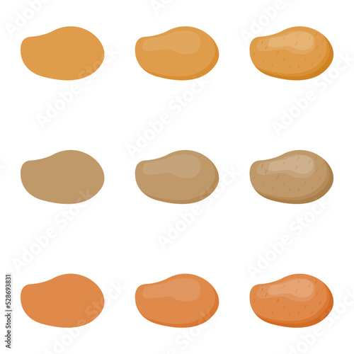 A vector drawn potato illustration with various colors and amount of details