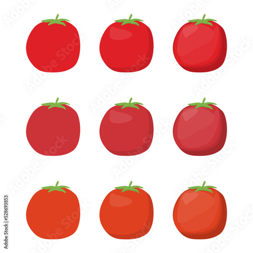 A vector drawn tomato illustration with various colors and amount of details
