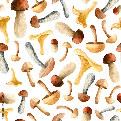Mushroom seamless watercolor Pattern for fabric or wrapping paper. Hand drawn autumn texture. Botanical Fall illustration for textile on white isolated background