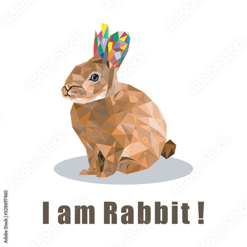 Animal - Rabbit