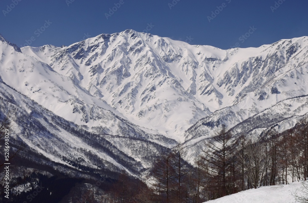 Hakuba Valley の冬景色