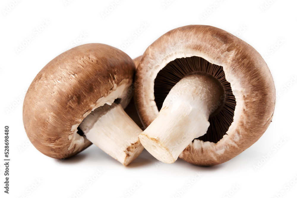 Fresh champignon mushrooms, isolated on white background. . High quality photo of fresh champignon mushrooms, isolated on white background. Fresh champignon mushrooms, isolated on white background. . High quality photo of fresh champignon mushrooms, isolated on white background.