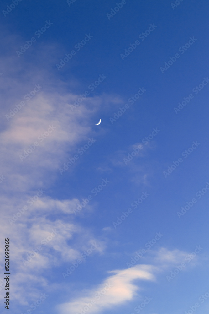 Moon on a daytime blue sky background.Place for text.Vertical format Moon on a daytime blue sky background.Place for text.Vertical format