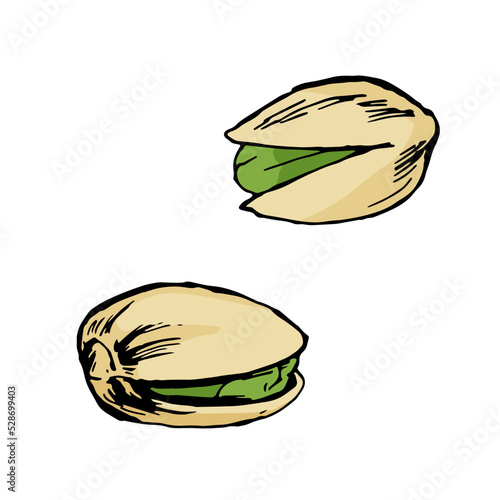 ピスタチオ複数＿シンプル線画カラーイラスト