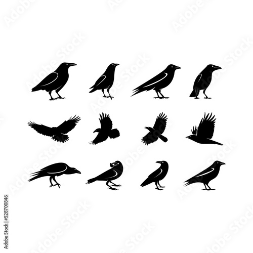 Set of ravens silhouettes vector, crow silhouttes template