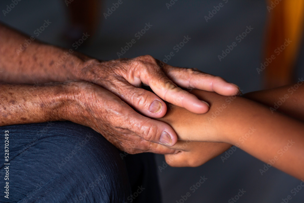 Fototapeta premium The asian old woman's hand was alone. Grandma's hands and grandchildren's