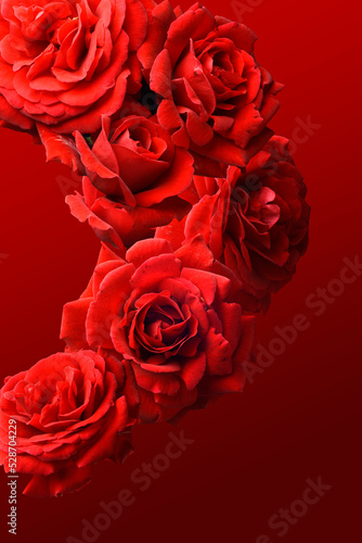 Fototapeta Naklejka Na Ścianę i Meble -  Red roses on a red background, floral design.