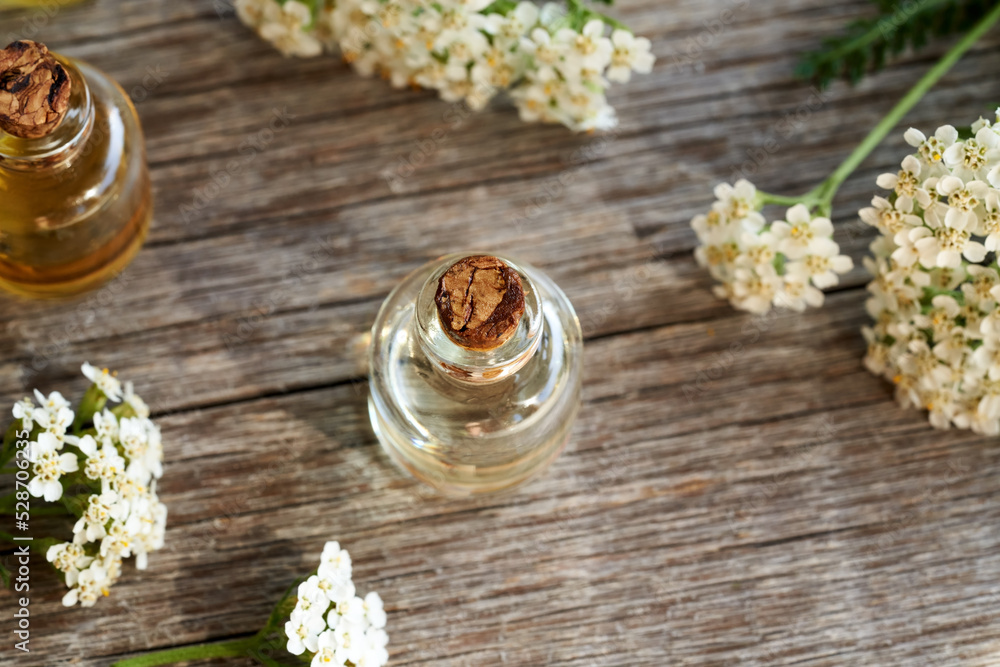 A bottle of aromatherapy essential oil with blooming yarrow or Achillea millefolium