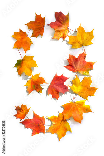 Number 9 from of colorful autumnal maple leaves on white background. Top view  flat lay