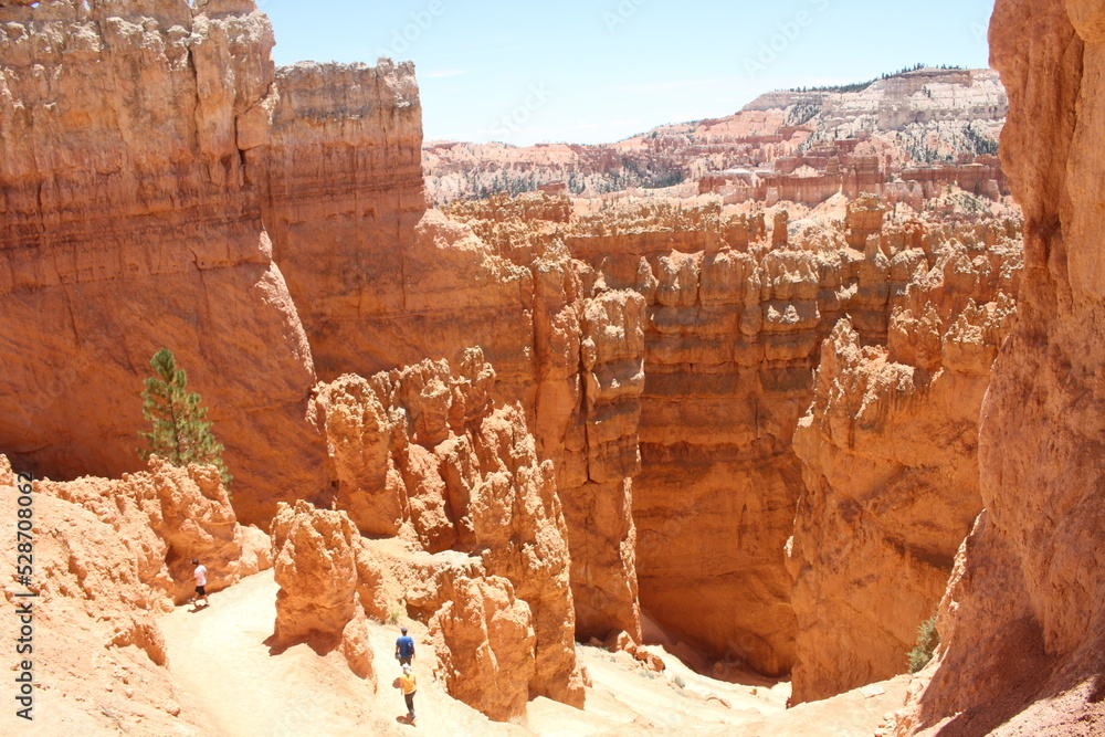 parc national Bryce canyon UTHA