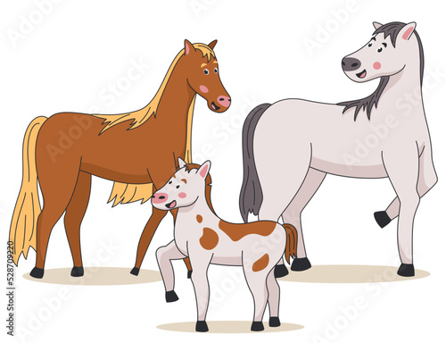 Family of horses stands on a white background.