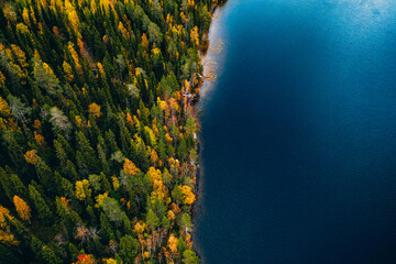 Aerial view of fall colour forest and blue lake in Finland.