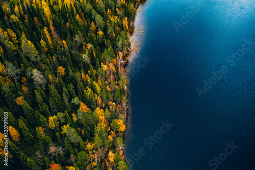 Fototapeta Naklejka Na Ścianę i Meble -  Aerial view of fall colour forest and blue lake in Finland.
