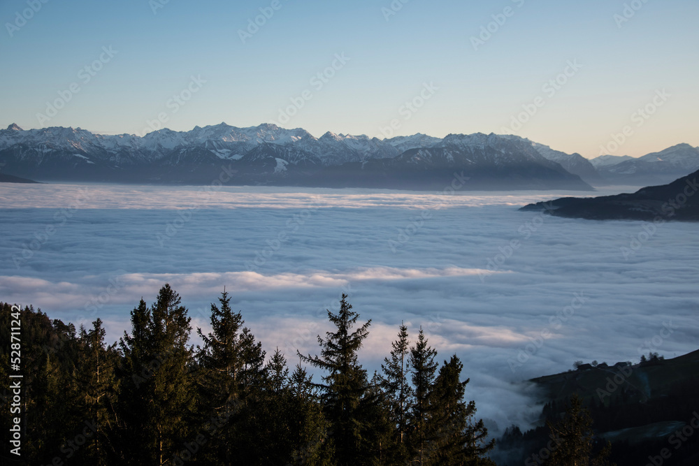 beautiful mountain view at sunset, peaceful blue sea of fog and dark pine trees
