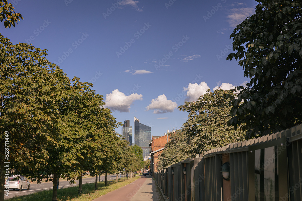 Fototapeta premium street in the city