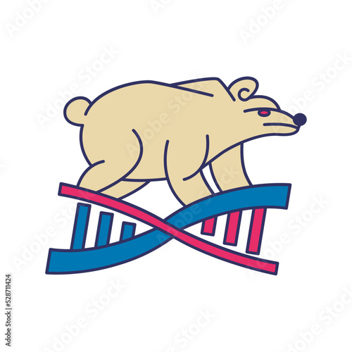 Bear with DNA logo design template.
