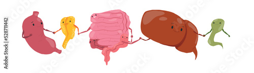 Vector set of human internal organs illustrations. Heart, lungs, kidneys, liver, stomach, bladder, pancreas, gall bladder, intestine. Smiling characters holding hands