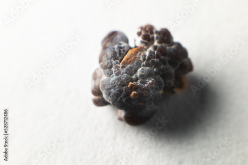 Kidney stone, intact, formed in an alkaline environment in the kidneys after ESWL intervention or surgery. Lithotripsy. Extreme macro photography. selective focus photo