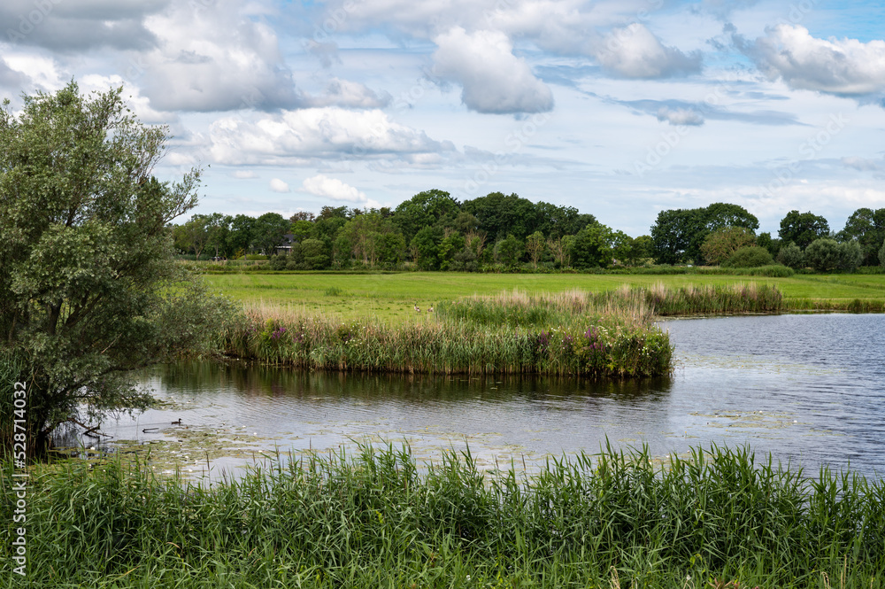 Wetlands, natural ponds and green surroundings at the fluid zone of the river Vecht, The Netherlands
