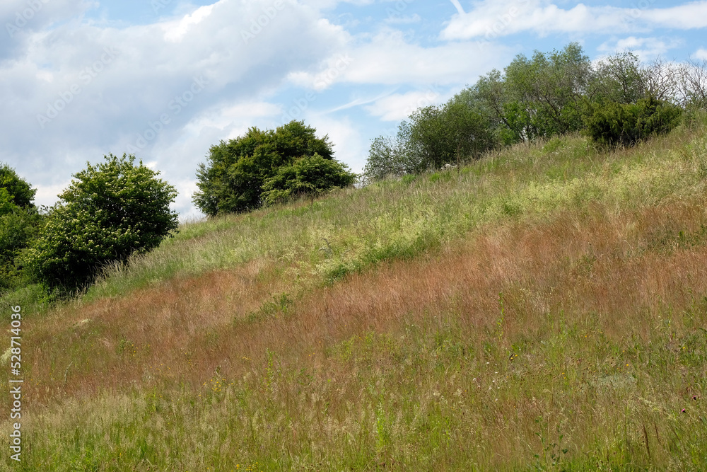 Obraz premium Uferlandschaft am Kanal