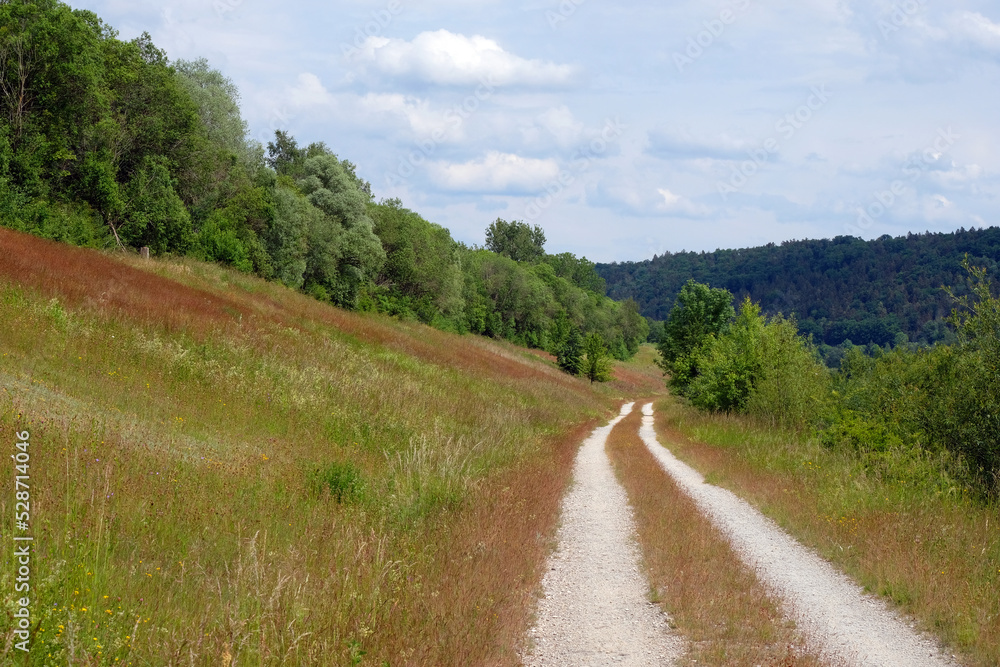 Fototapeta premium Uferlandschaft am Kanal