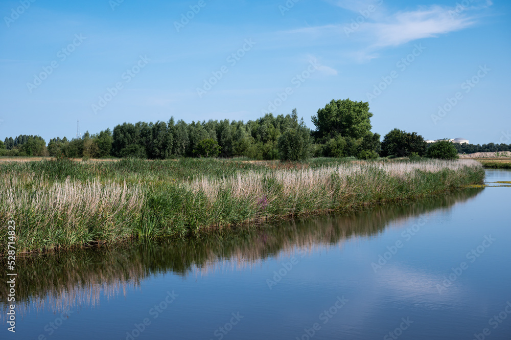 Wetland nature reserve with blue water of the lake, green grass over blue sky around Onlanden Wetland nature reserve with blue water of the lake, green grass over blue sky around Onlanden