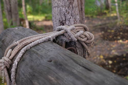 Macro climbing rope tied to a big tree. Hefty rope to tie the two trees together.