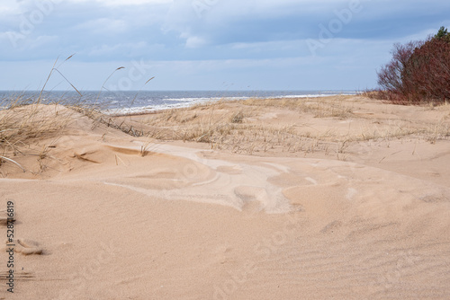 Sandy dunes grown by dry grass by Baltic sea on early spring 