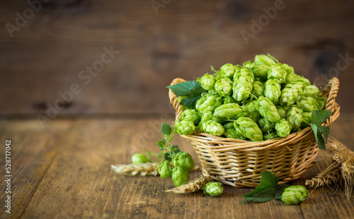  Hop cones in the basket on the rustic wooden background
