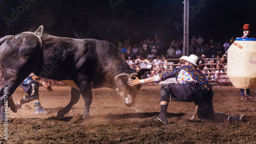 Bull vs. Bullfighter