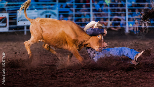 Bulldogging