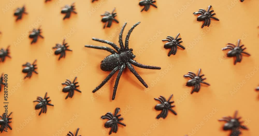 Close up view of multiple spider toys against orange background Close up view of multiple spider toys against orange background