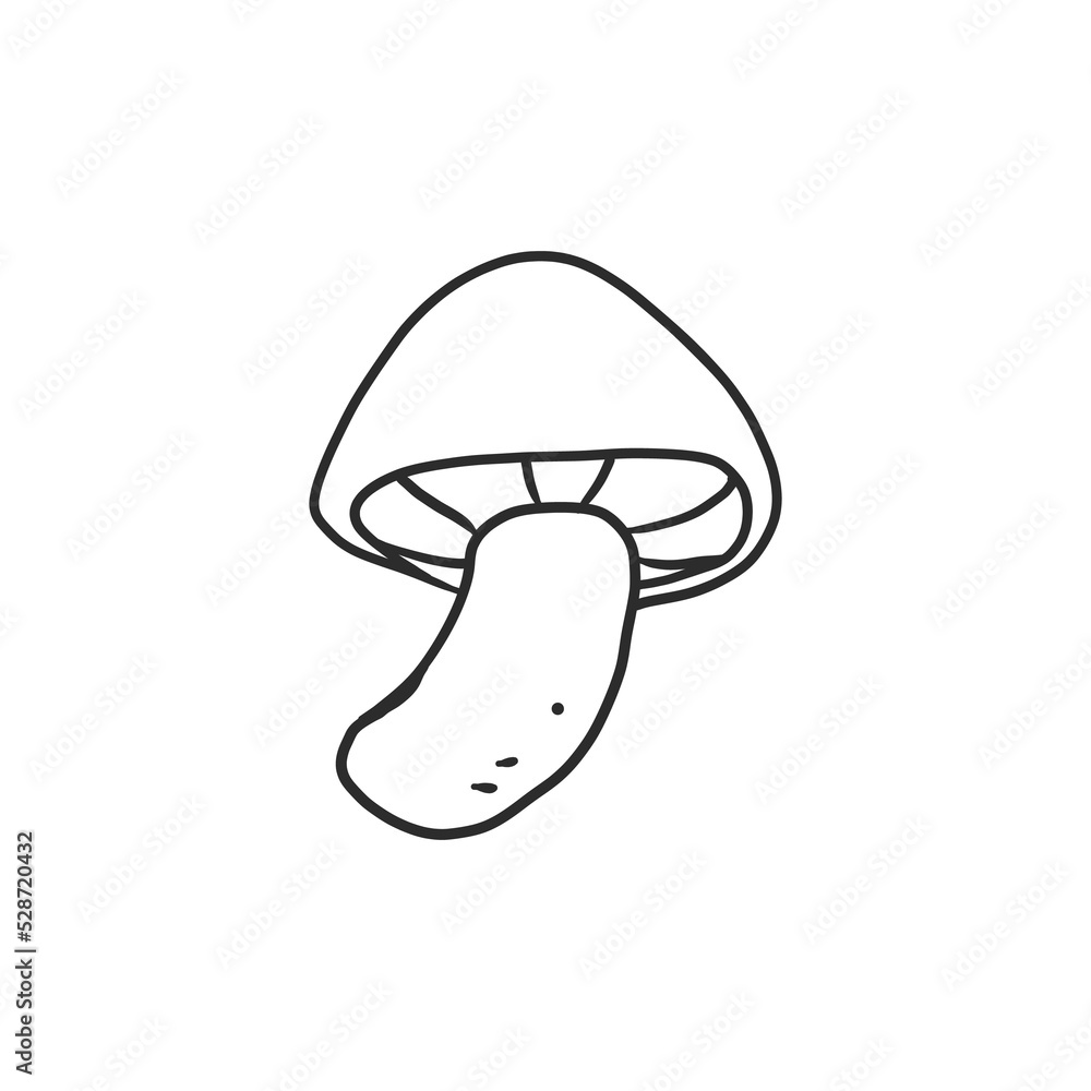 hand drawn illustration of fungus. simple and minimal design for element decoration. pencil sketch drawing in graphic.