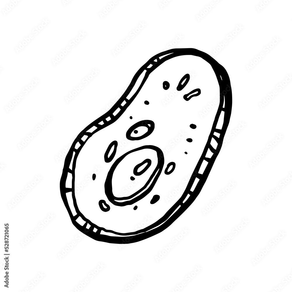 virus line art hand drawn illustration design virus line art hand drawn illustration design