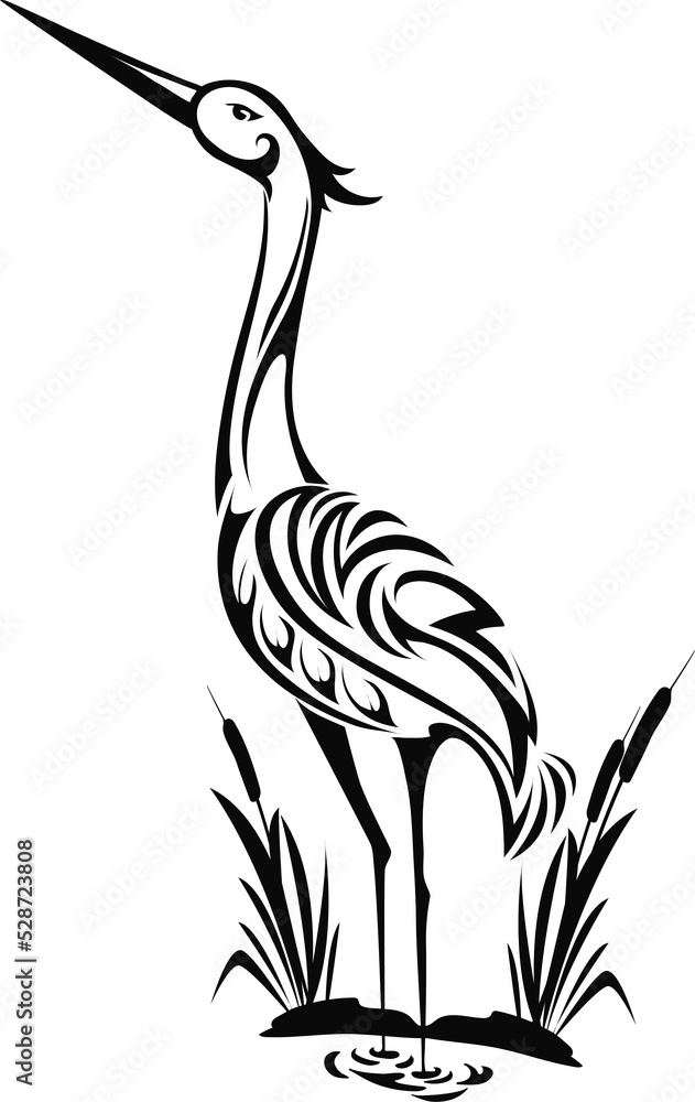 Fototapeta premium Wildlife crane on pond, stork wading bird isolated