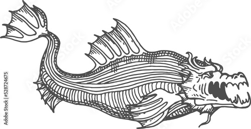 Sea monster serpent dragon fish leviathan sketch