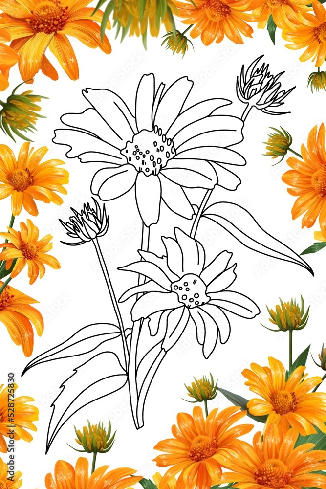 yellow chamomile flower, doodle style gerbera, flower coloring book, coloring page