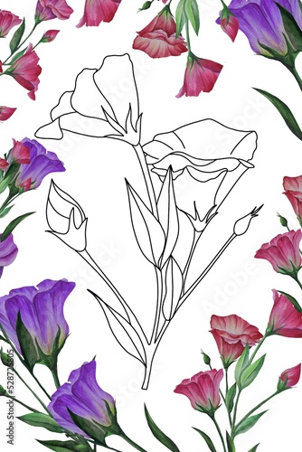 eustoma  lisianthus flower in doodle style coloring book  coloring page for kids and adults