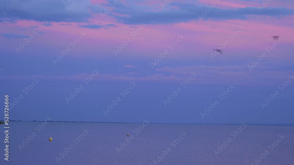 Birds Flying Over a Lake and Pink Clouds and Purple Sky after Sunset in Summer Birds Flying Over a Lake and Pink Clouds and Purple Sky after Sunset in Summer