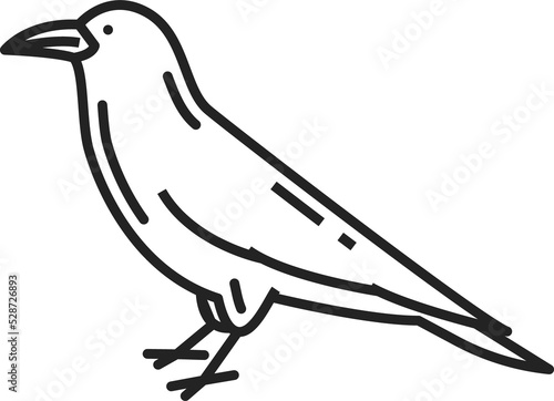 Slika na platnu Raven bird isolate black crow animal line art icon