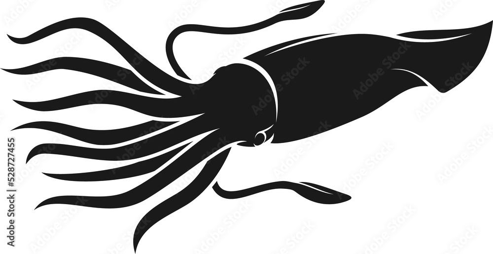 Obraz premium Squid, cuttlefish seafood or mollusk silhouette