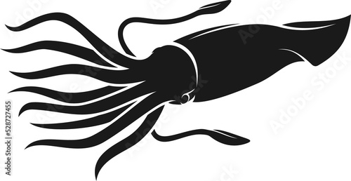 Squid, cuttlefish seafood or mollusk silhouette