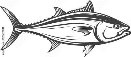 Bluefish tuna mascot isolated mackerel fish icon