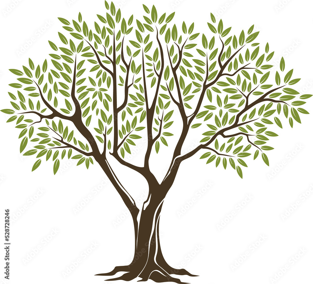 Obraz premium Olive tree vector icon. Plant branches with leaves