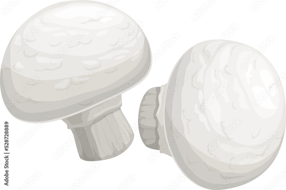Champignon small edible mushroom realistic fungi Champignon small edible mushroom realistic fungi